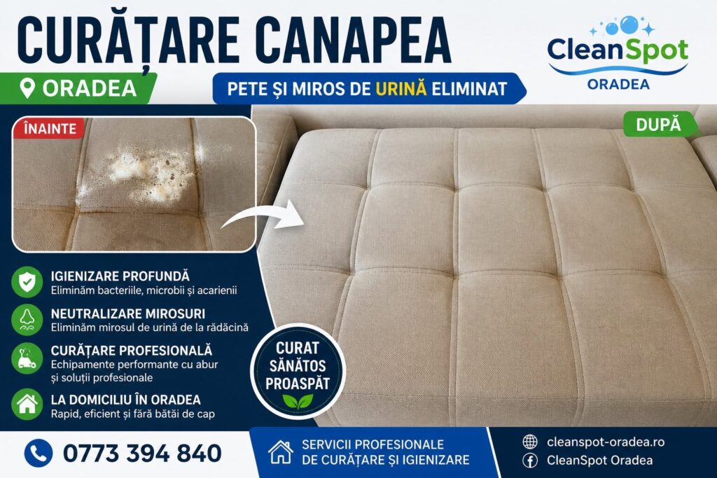 Curățare tapițerie în Oradea: soluții profesionale pentru canapele, saltele și interior auto 719109758 122143047993111833 3024527409370074115 n